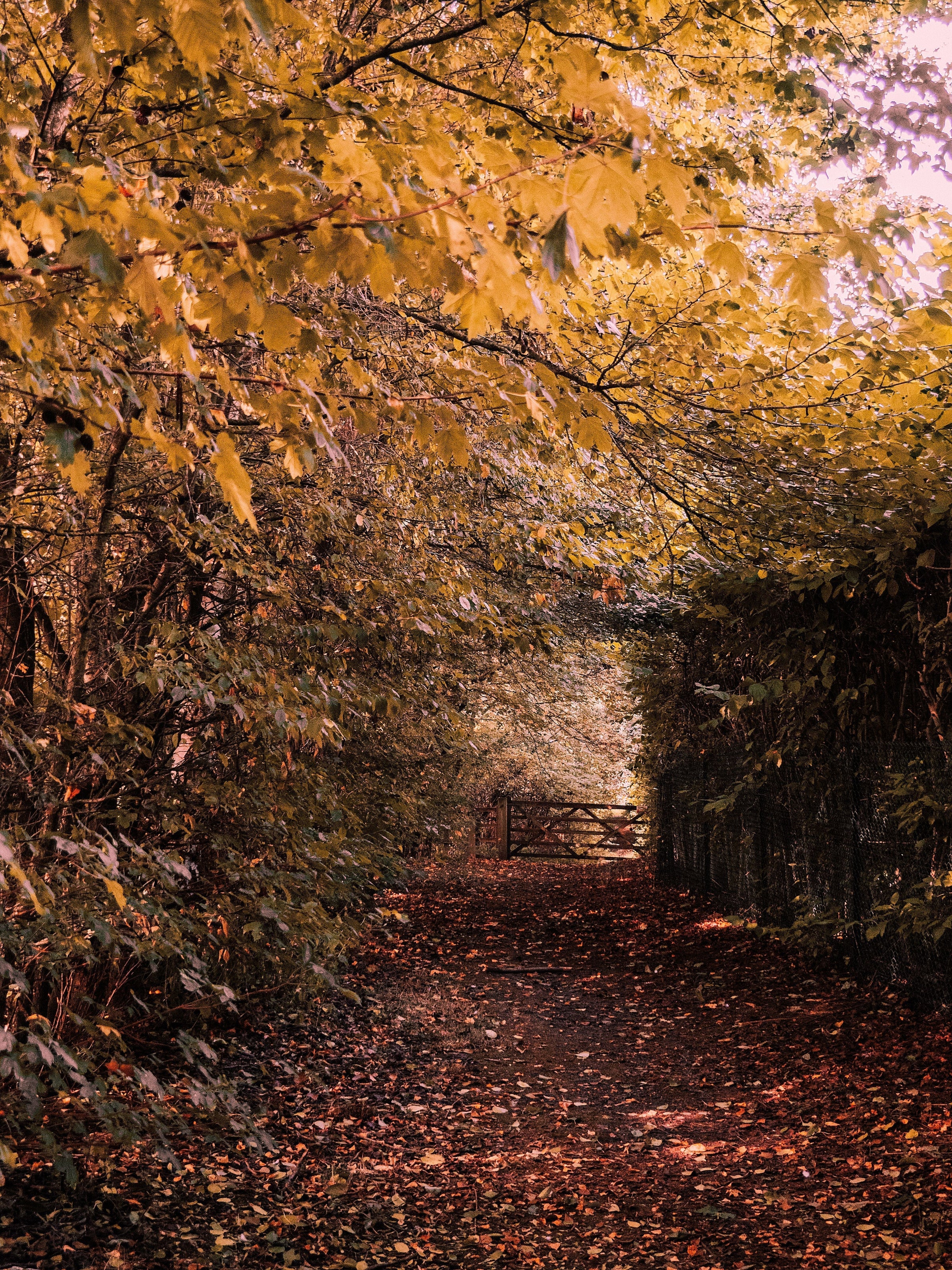 5 Ways To Move With The Seasons This Autumn